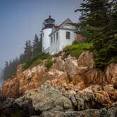 Review photo of Seawall Campground — Acadia National Park by Ashleigh M., August 10, 2018