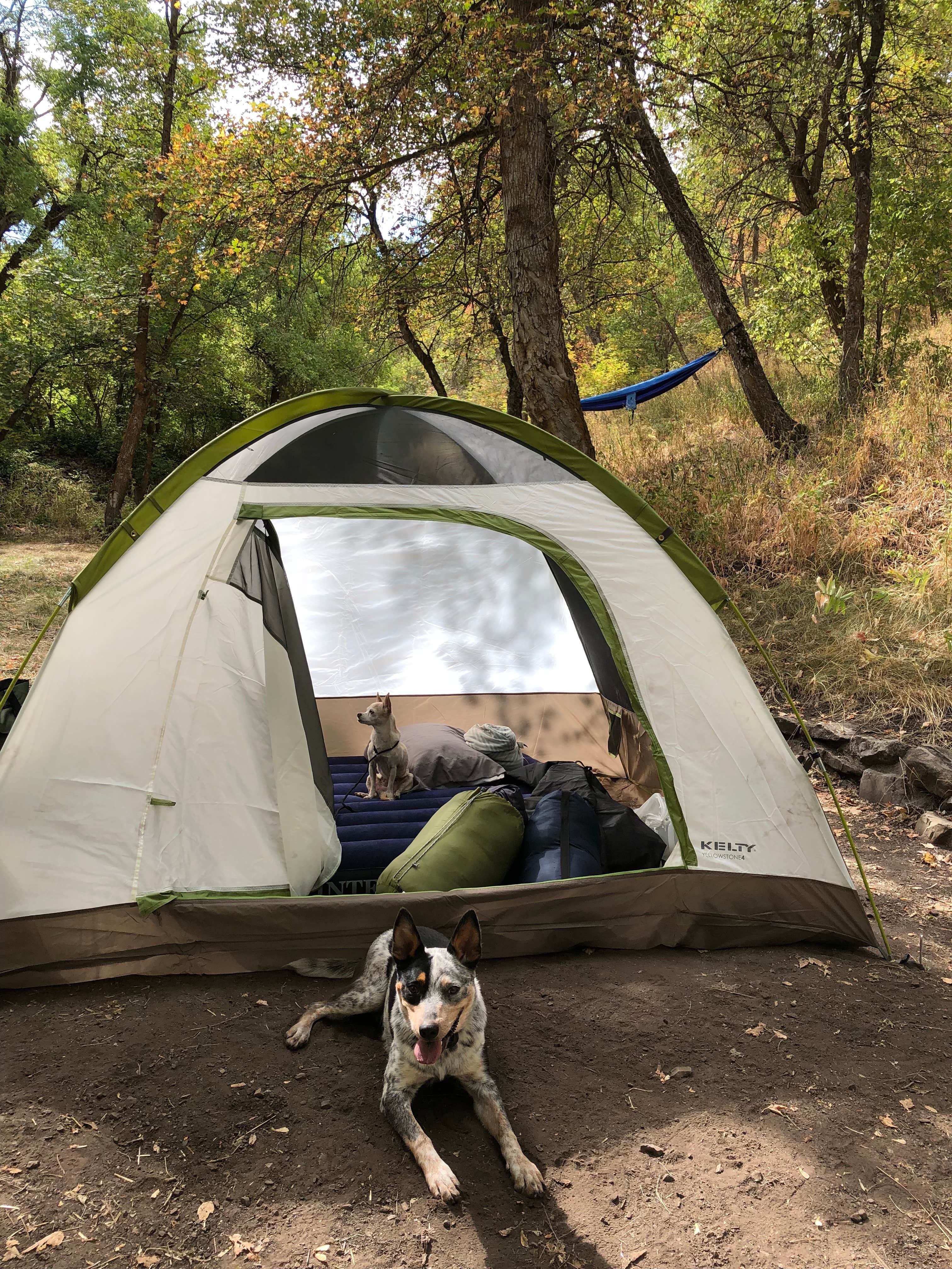 Camper submitted image from Uinta National Forest Hope Campground - 2