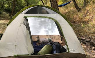 Kaela S.'s photo at Uinta National Forest Hope Campground near Springville, UT