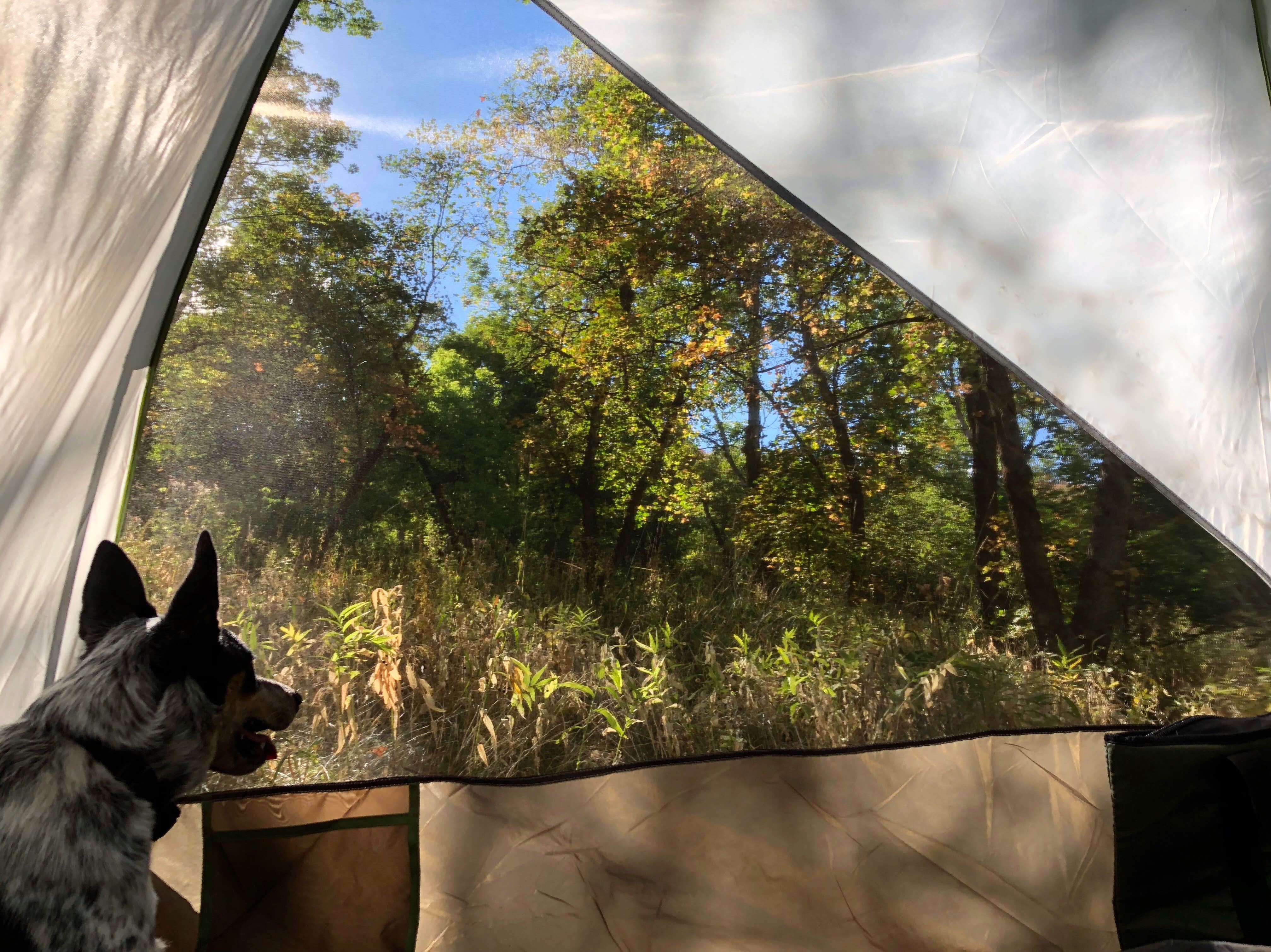 Kaela S.'s photo of camping with pets at Uinta National Forest Hope Campground near Saratoga Springs, UT