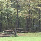 Review photo of Maple Springs Campground — Mammoth Cave National Park by Shelly S., September 18, 2016