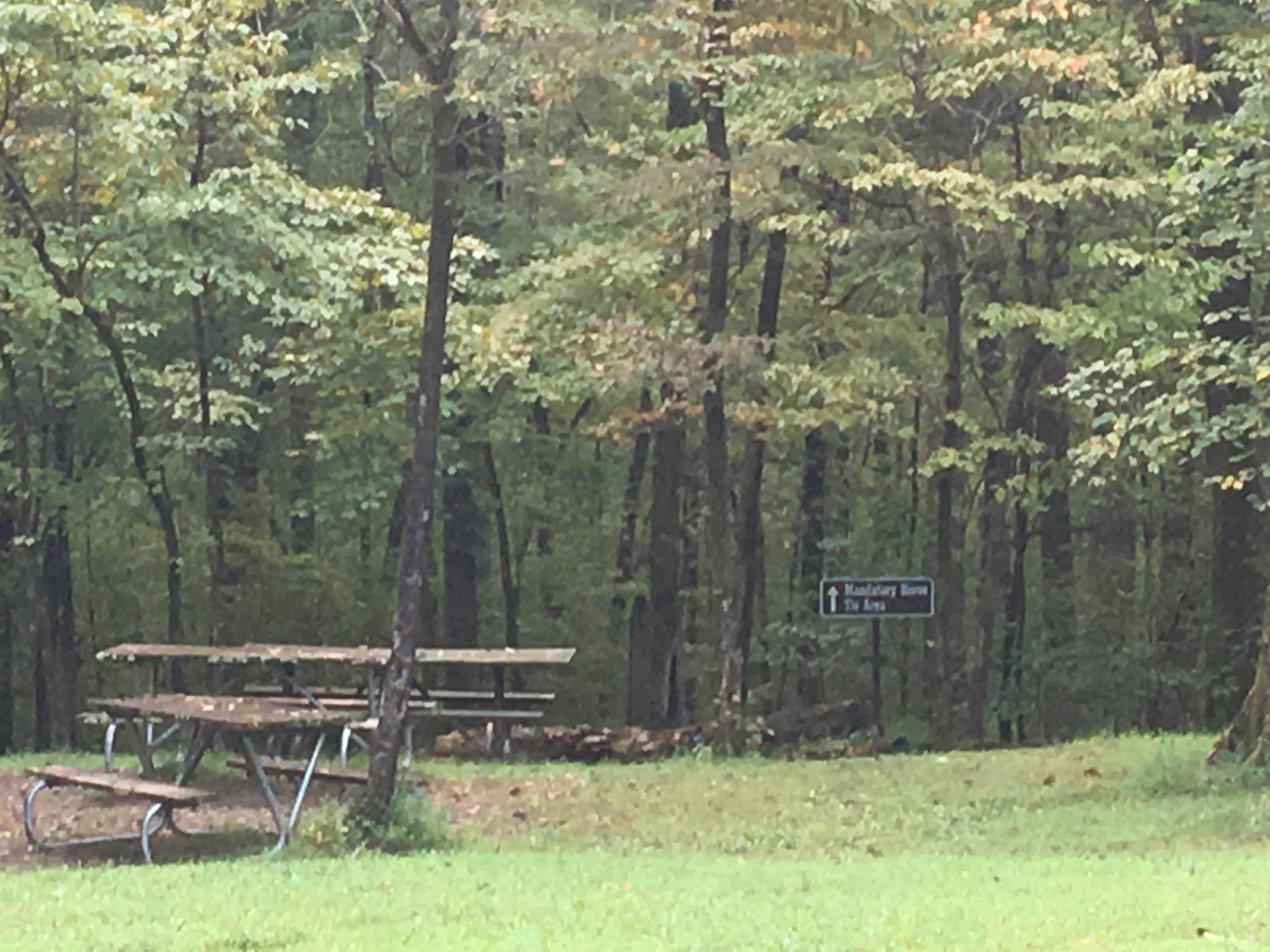 Camper submitted image from Maple Springs Campground — Mammoth Cave National Park - 5