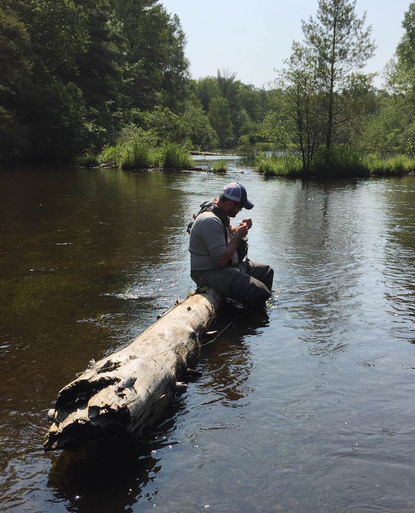 Camper submitted image from Canoe Harbor State Forest Campground & Canoe Camp - 5