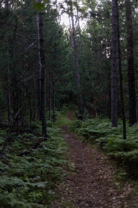 Camper submitted image from Canoe Harbor State Forest Campground & Canoe Camp - 5