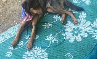 Becca  A.'s photo of camping with pets at Camp Coldbrook Golf & RV Resorts in Massachusetts