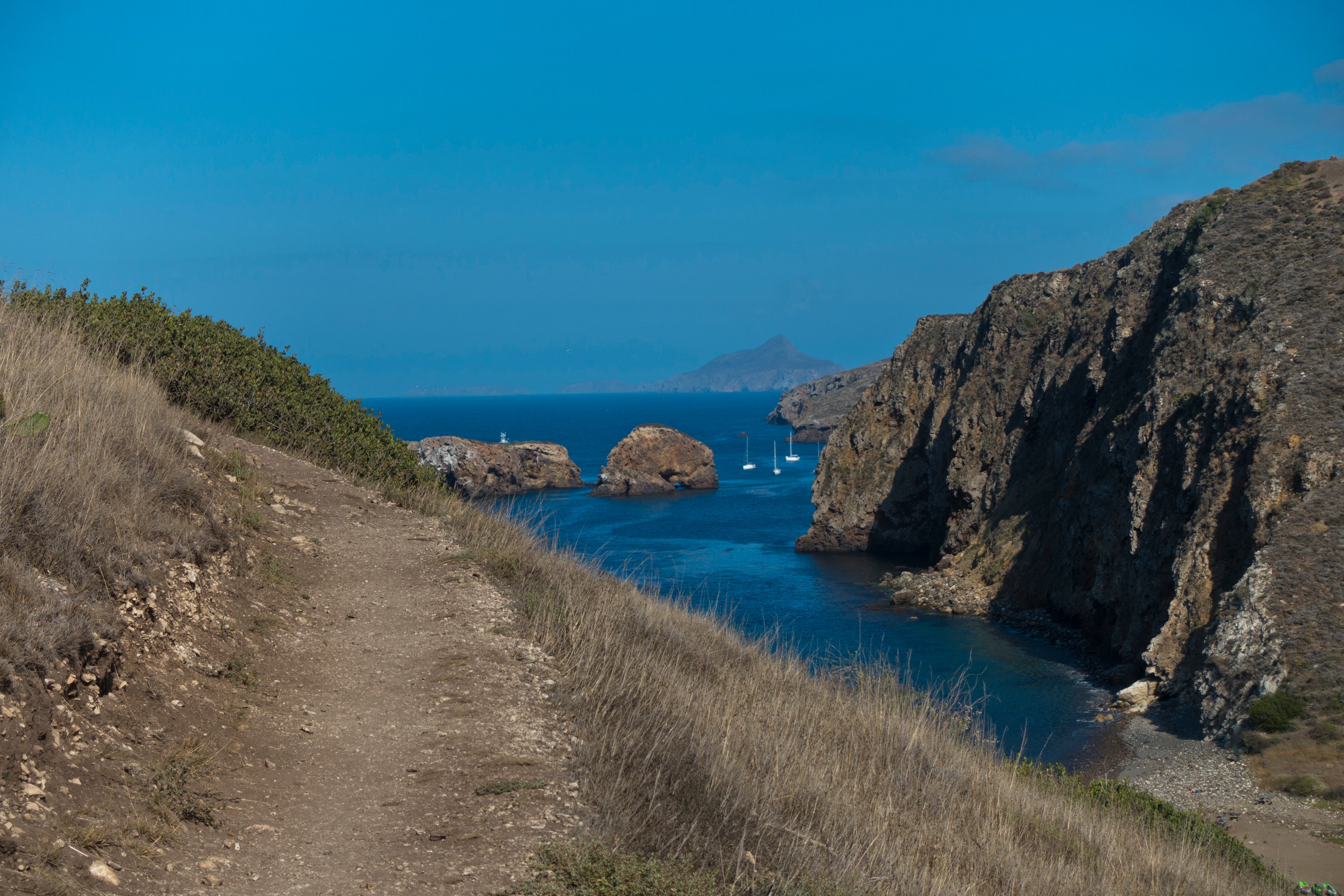 Camper submitted image from Santa Rosa Island Campground — Channel Islands National Park - 2