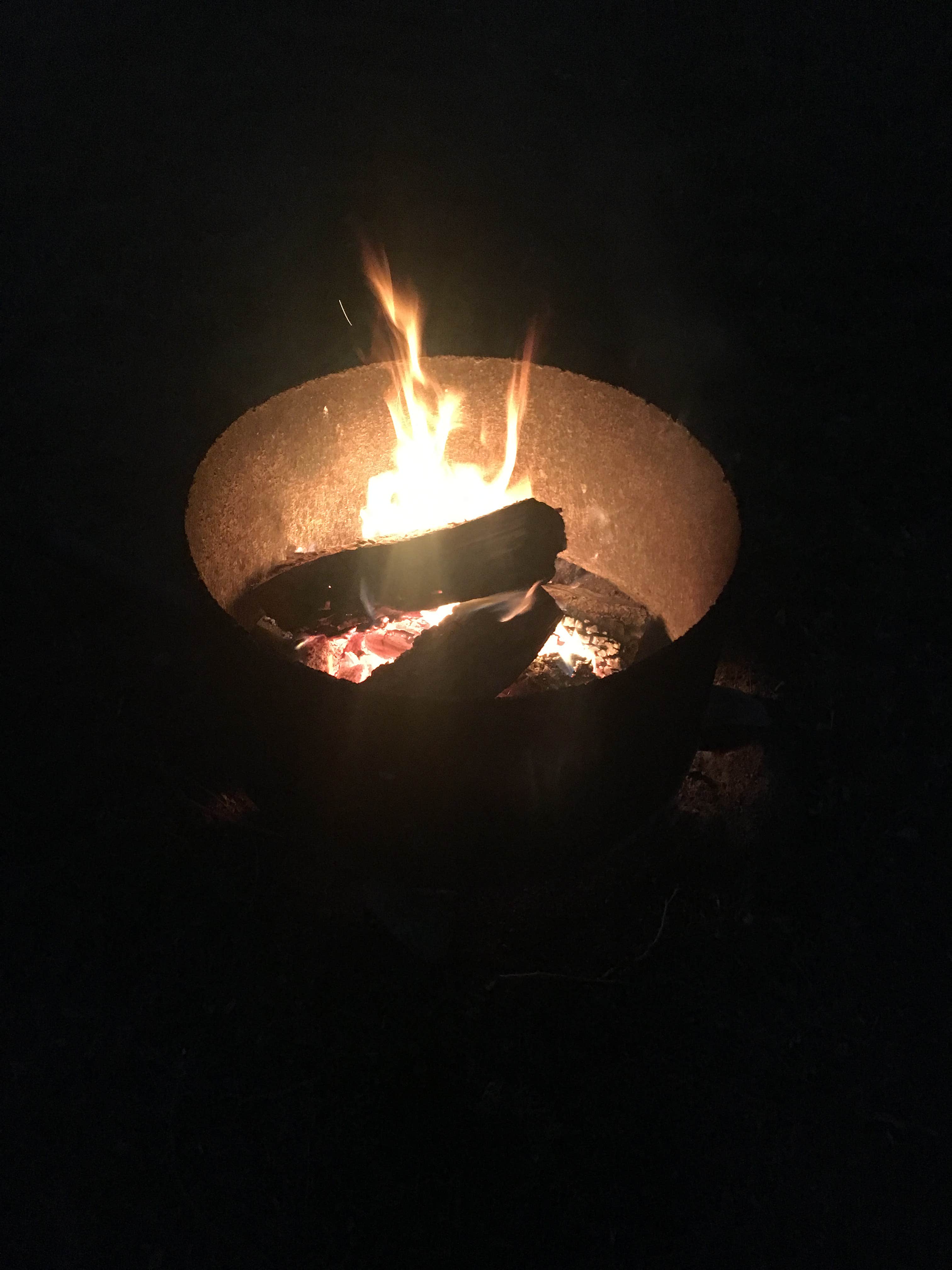 Camper submitted image from Yogi Bear's Jellystone Park™ Guadalupe River - 3