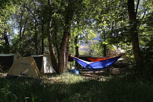 Angela S.'s photo of tent camping at Camp Maple Dell near Snowbird, UT