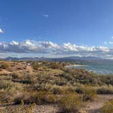 Review photo of Lake Havasu State Park Campground by Kathy B., March 15, 2025