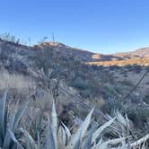 Review photo of Blair Valley Primitive Campground — Anza-Borrego Desert State Park by Kathy B., March 15, 2025