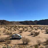 Review photo of Blair Valley Primitive Campground — Anza-Borrego Desert State Park by Kathy B., March 15, 2025