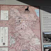 Review photo of Blair Valley Primitive Campground — Anza-Borrego Desert State Park by Kathy B., March 15, 2025