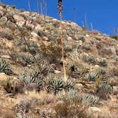 Review photo of Blair Valley Primitive Campground — Anza-Borrego Desert State Park by Kathy B., March 15, 2025