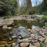 Review photo of Lodgepole Campground — Sequoia National Park by Sportzfy H., March 15, 2025