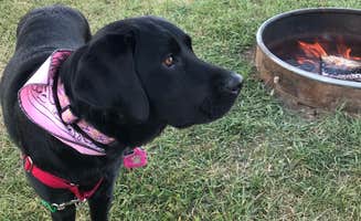 Ann M.'s photo of camping with pets at Bear Lake/Trail Side KOA Journey near Lewiston, UT