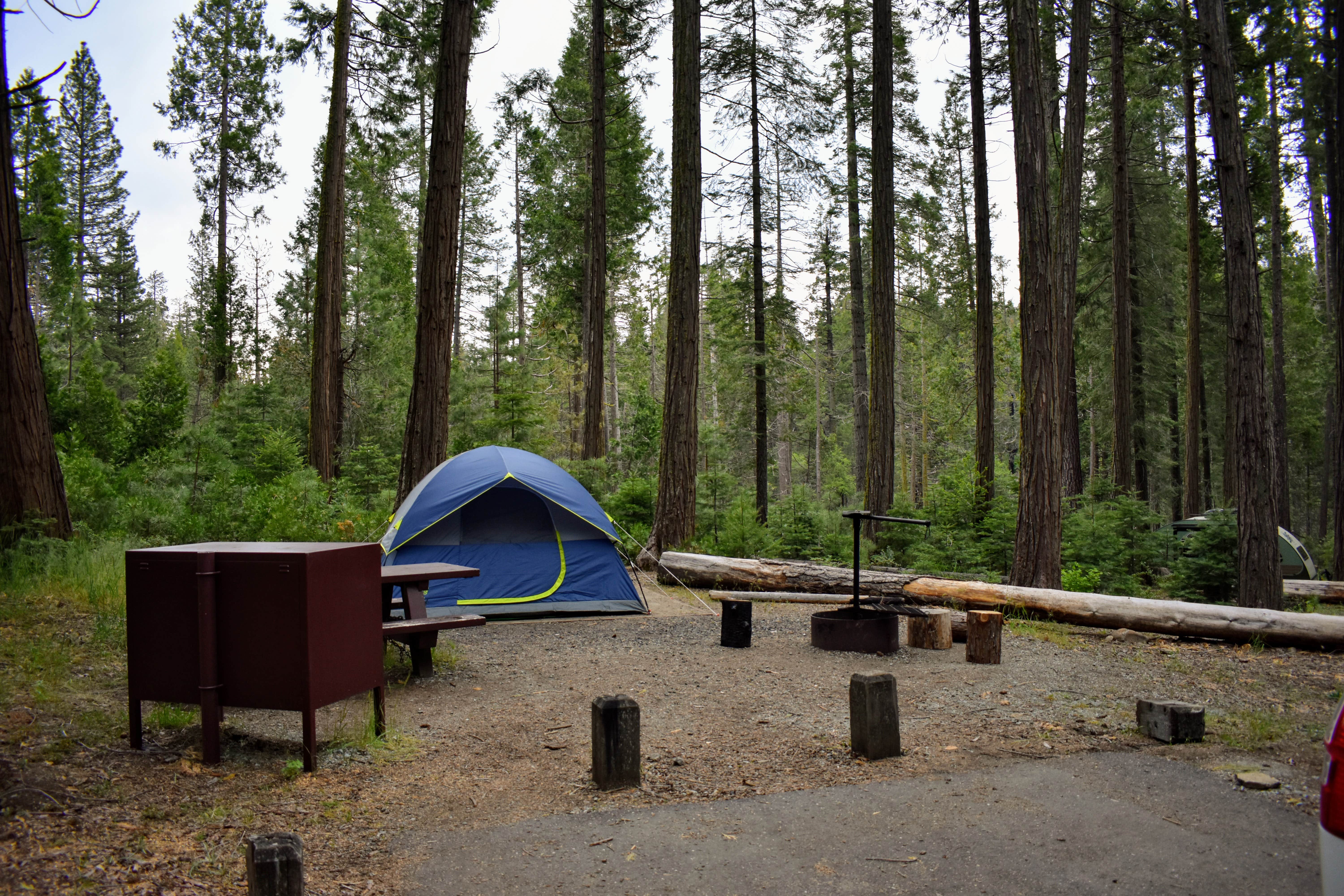 Megan K.'s photo at Dimond O Campground near Mather, CA