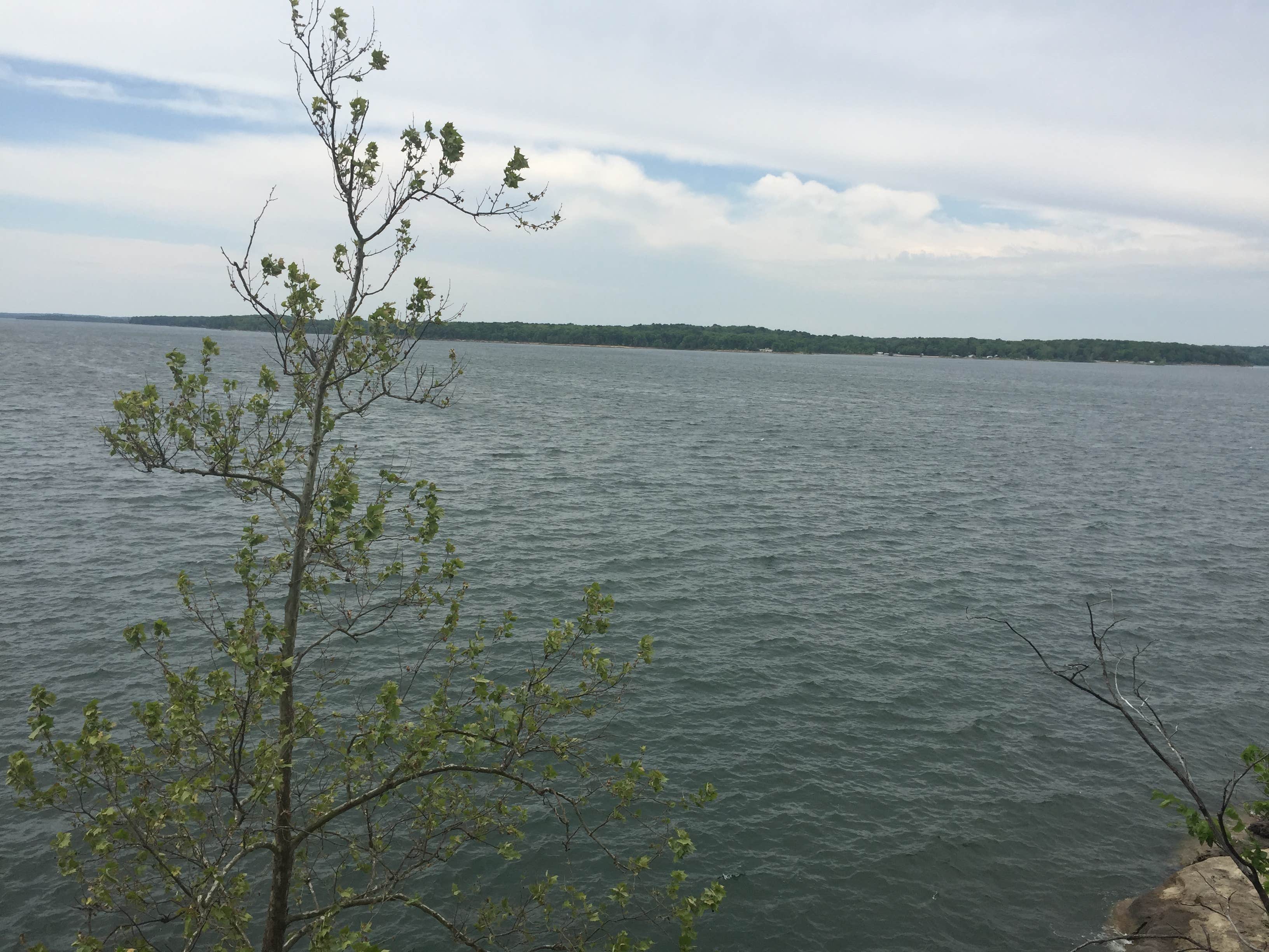 Camper-submitted photo at Wayne Fitzgerrell State Park Campground near Whittington, IL