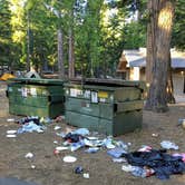 Review photo of D.L. Bliss State Park Campground by Megan K., July 9, 2019