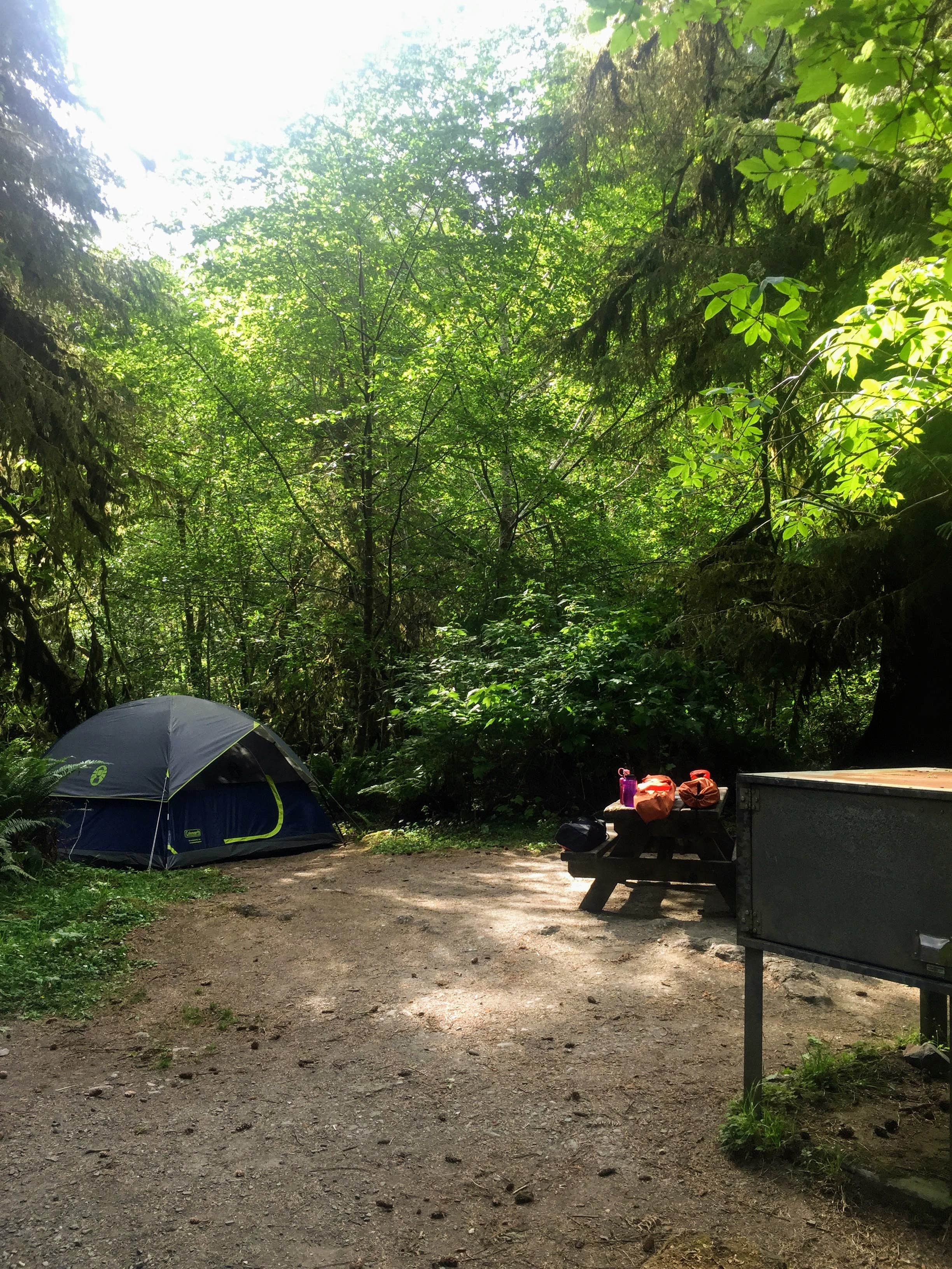 Megan K.'s photo at Elk Prairie Campground — Prairie Creek Redwoods State Park near Orick, CA