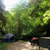 Review photo of Elk Prairie Campground — Prairie Creek Redwoods State Park by Megan K., July 9, 2019