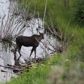 Review photo of Fireside Buffalo Valley by Joel R., July 9, 2019