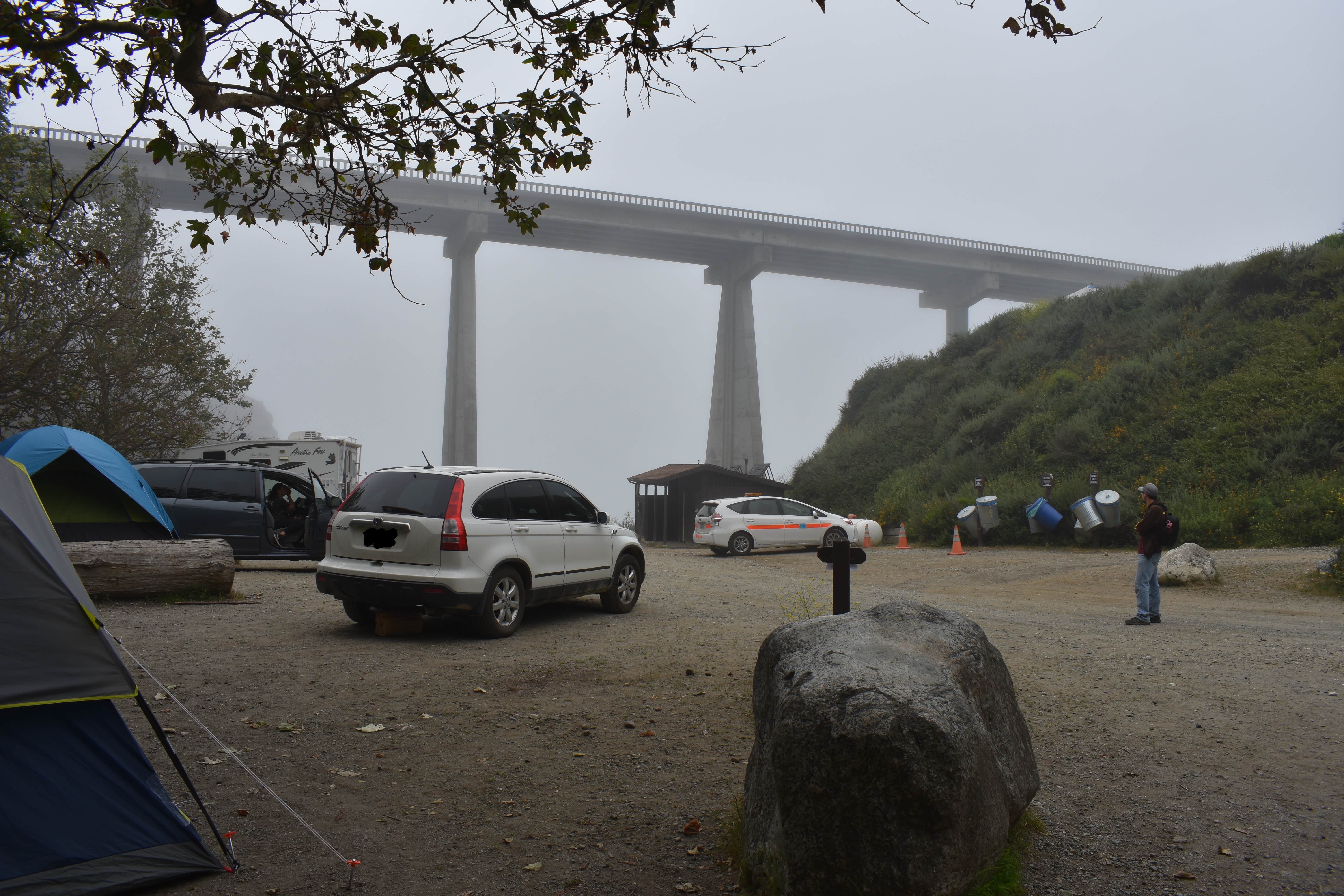 Megan K.'s photo of tent camping at Limekiln State Park Campground near Monterey, CA