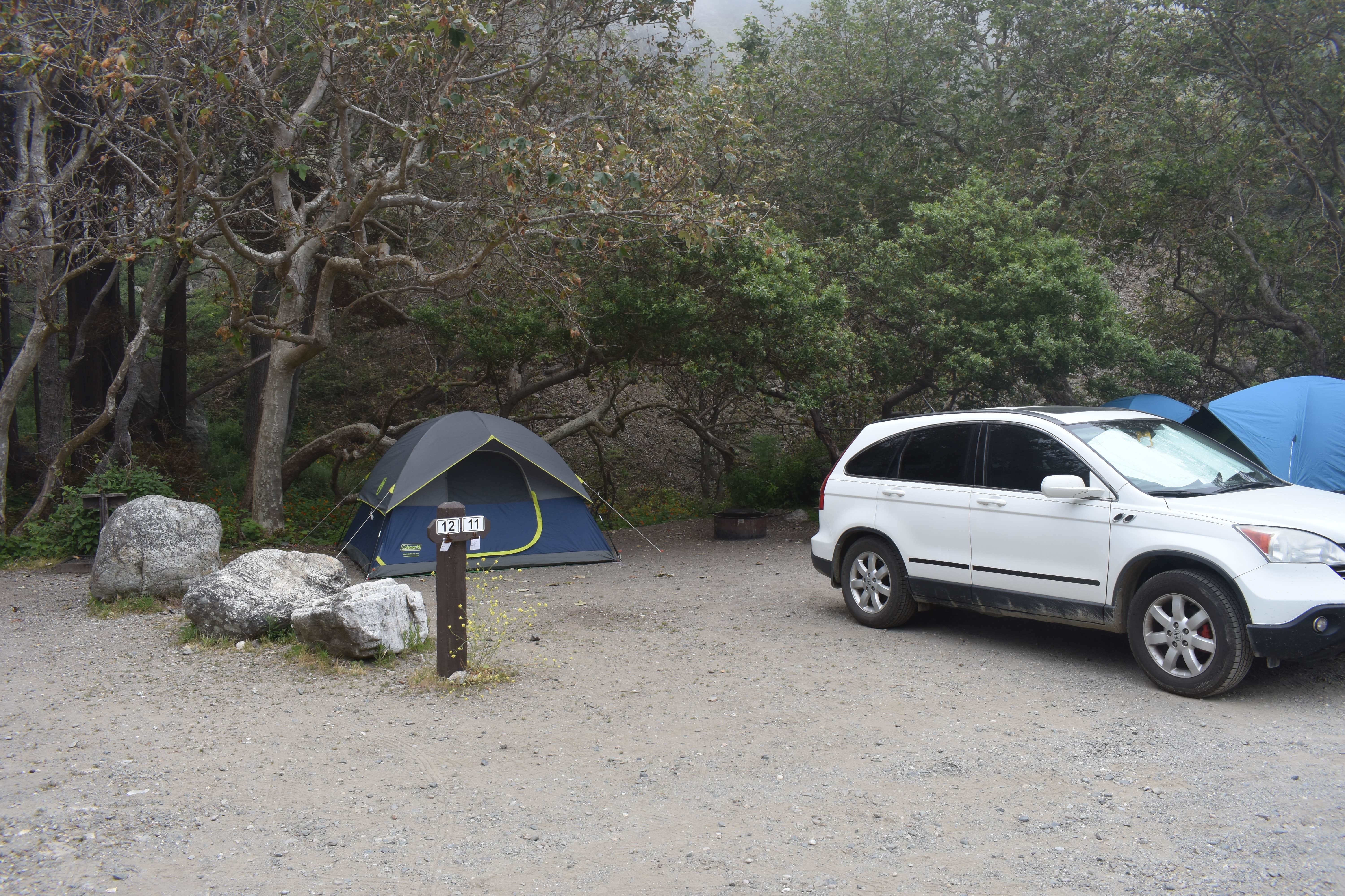 Megan K.'s photo of tent camping at Limekiln State Park Campground near Marina, CA