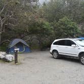 Review photo of Limekiln State Park Campground — TEMPORARILY CLOSED by Megan K., July 9, 2019