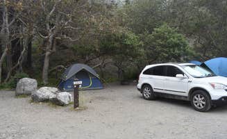 Megan K.'s photo of tent camping at Limekiln State Park Campground near Marina, CA