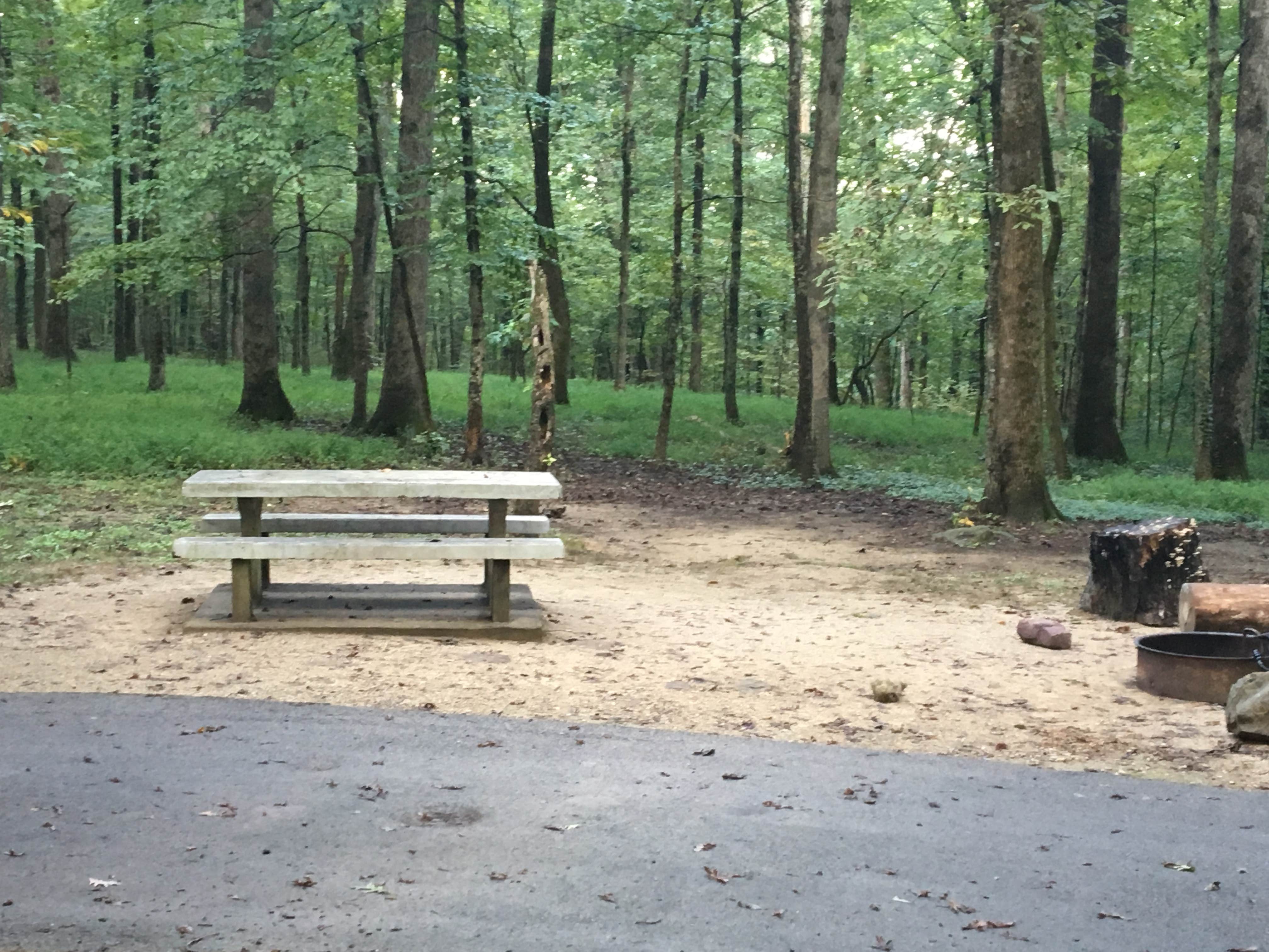 Camper submitted image from Mammoth Cave Campground — Mammoth Cave National Park - 4