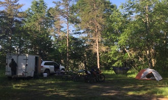 Camping near Canoe Harbor State Forest Campground & Canoe Camp: Meadows ORV Campground, Luzerne, Michigan