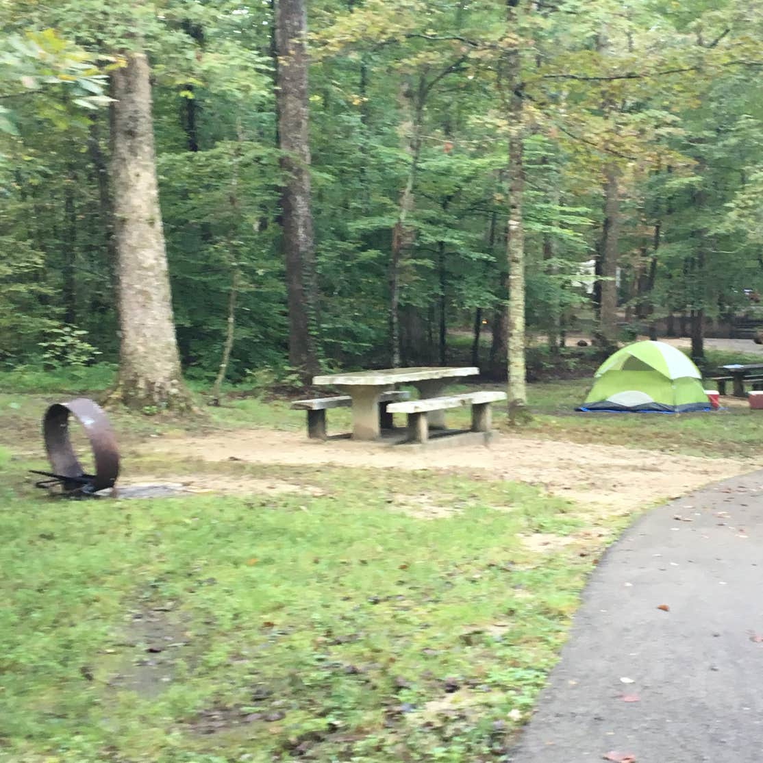 Mammoth Cave Campground Camping The Dyrt