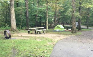 Shelly S.'s photo at Mammoth Cave Campground — Mammoth Cave National Park near Mammoth Cave National Park