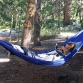 Review photo of East Fork Campground – Inyo National Forest (CA) by K B., July 9, 2019