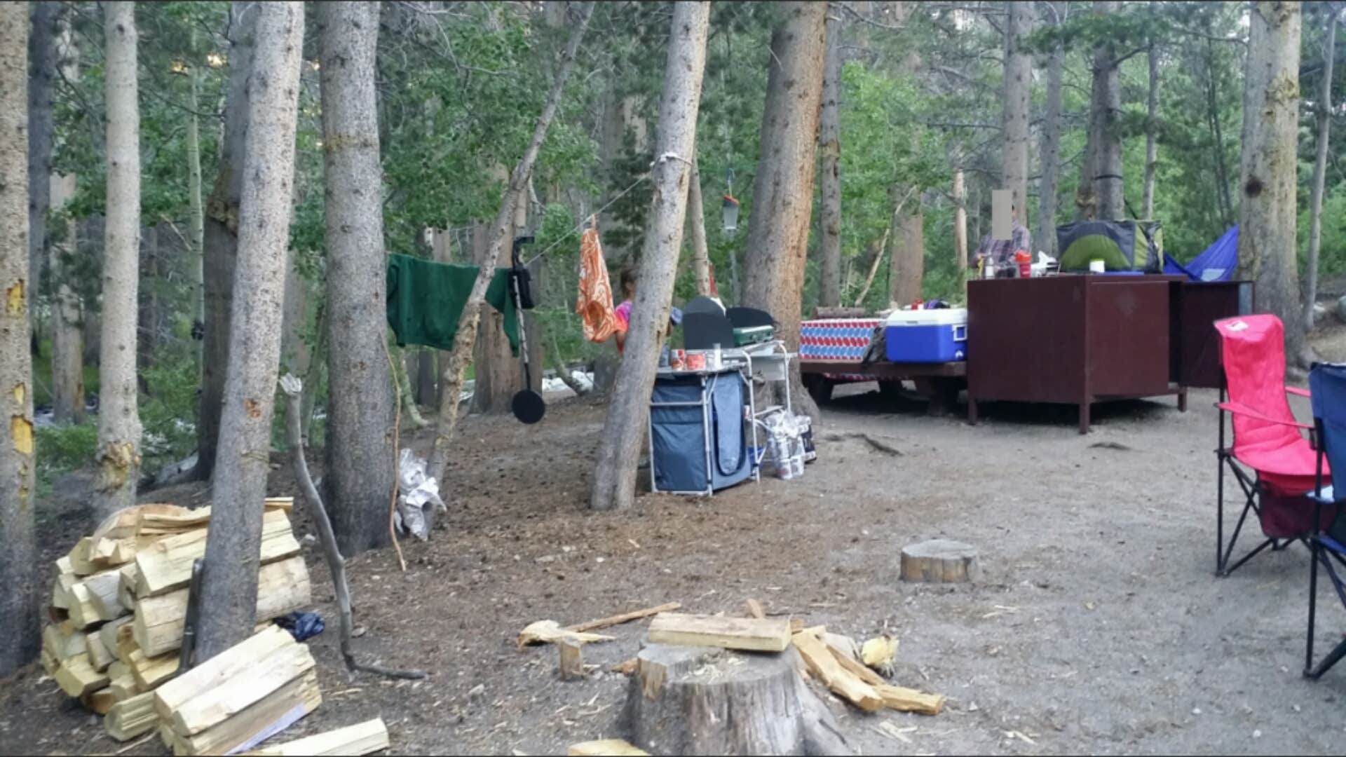 K B.'s photo at East Fork Campground – Inyo National Forest (CA) near Dyer, NV
