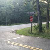 Review photo of Mammoth Cave Campground — Mammoth Cave National Park by Shelly S., September 18, 2016