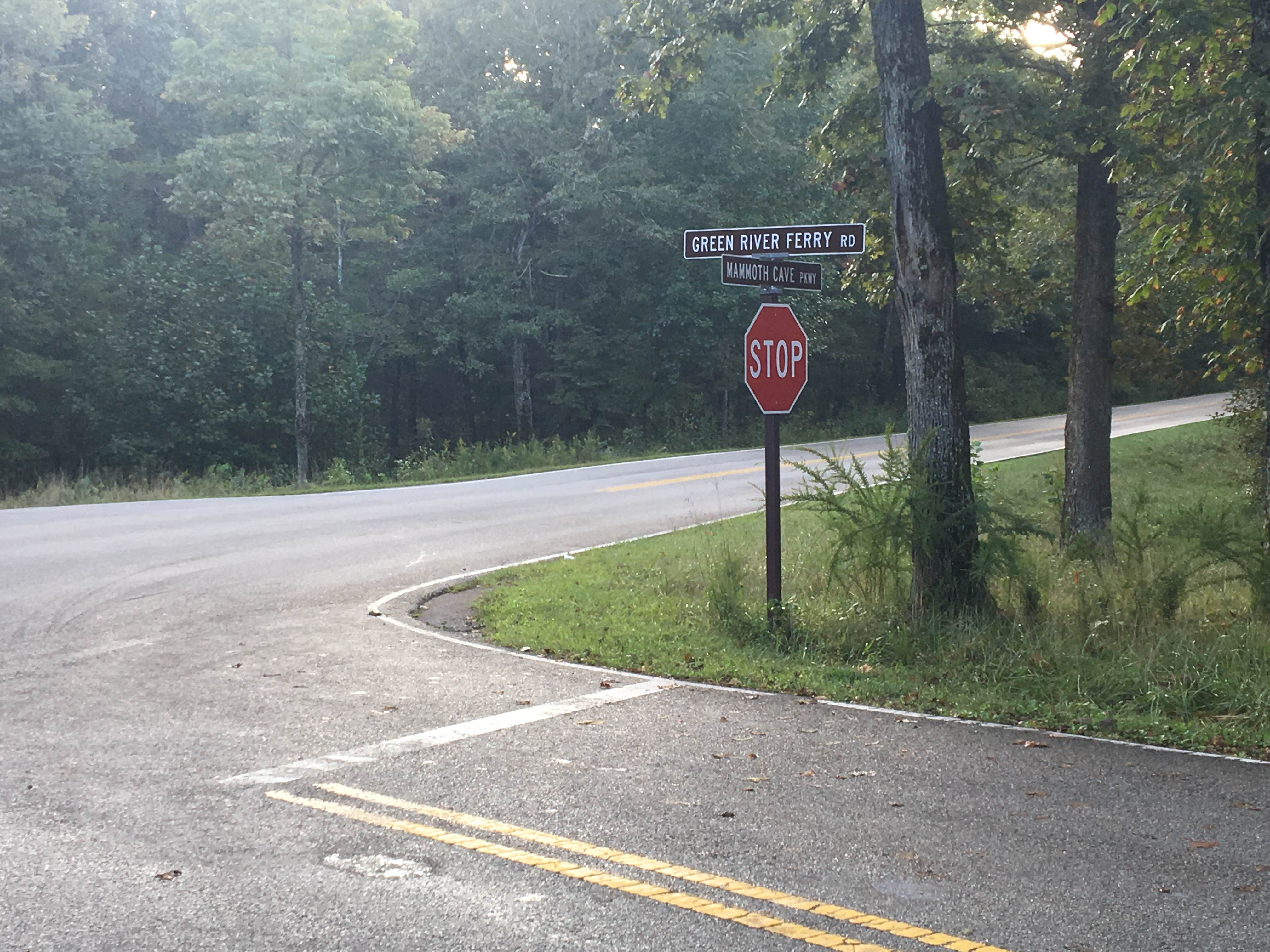 Camper submitted image from Mammoth Cave Campground — Mammoth Cave National Park - 5