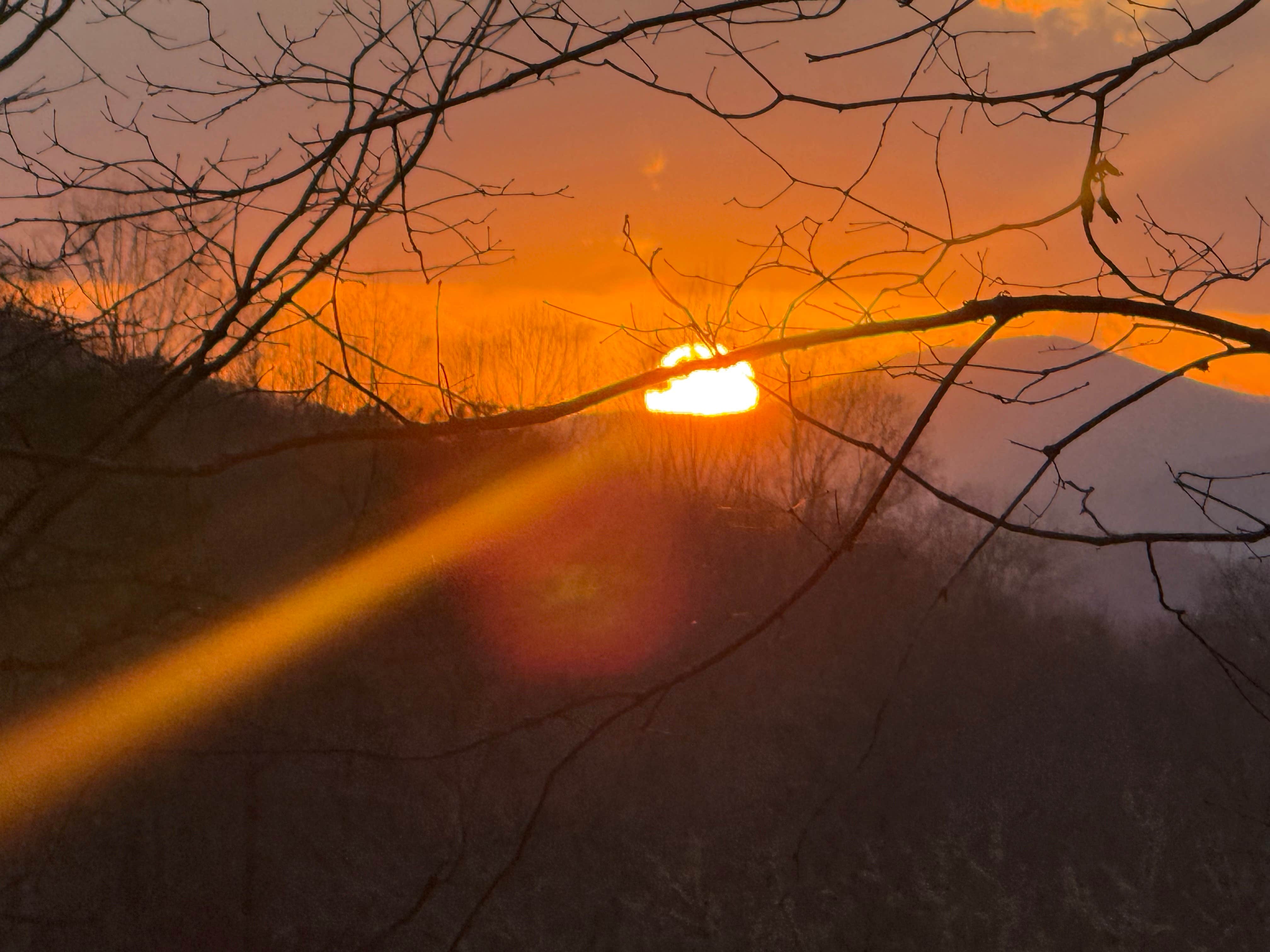 Camping near Cherokee Campground: Owls Nest Private Lake, Sautee Nacoochee, Georgia