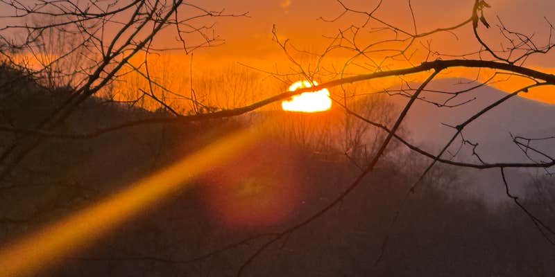 Camper submitted image from Owls Nest Private Lake