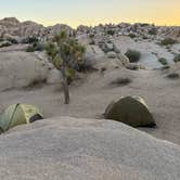 Review photo of Jumbo Rocks Campground — Joshua Tree National Park by Sierra T., March 16, 2025