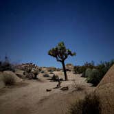 Review photo of Jumbo Rocks Campground — Joshua Tree National Park by Sierra T., March 16, 2025