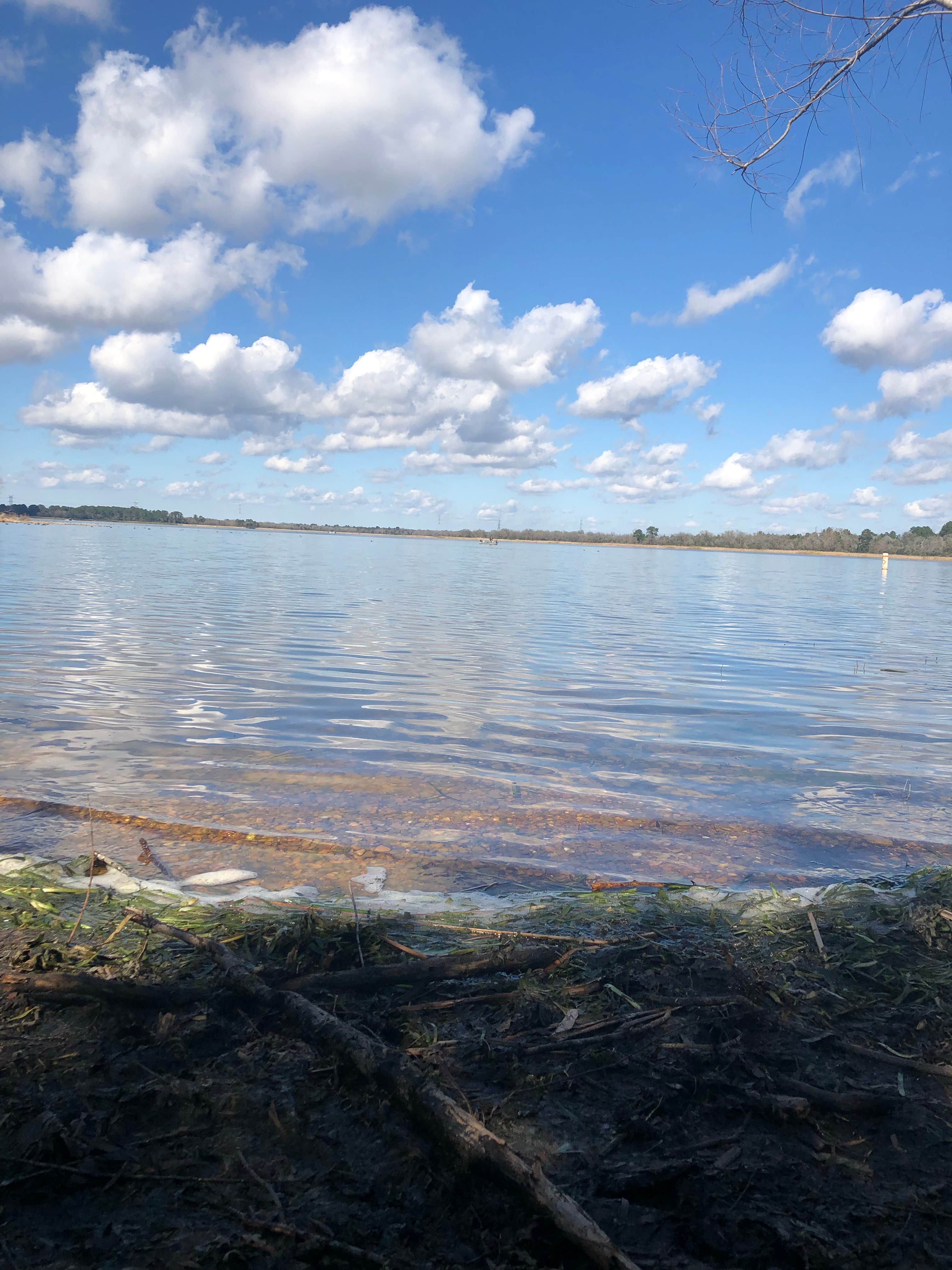 View All