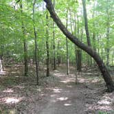 Review photo of Old Stone Fort State Archaeological Park by Jeremy H., July 10, 2019