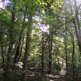 Review photo of Old Stone Fort State Archaeological Park by Jeremy H., July 10, 2019