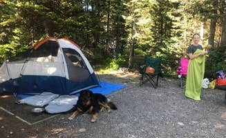 Mackenzie H.'s photo of camping with pets at Colter Bay Tent Village at Colter Bay Village — Grand Teton National Park near Grand Teton National Park