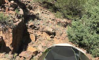 Anthony P.'s photo at Salida North BLM near Salida, CO