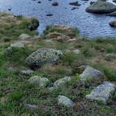 Review photo of Madison Spring Hut by Jean C., July 10, 2019