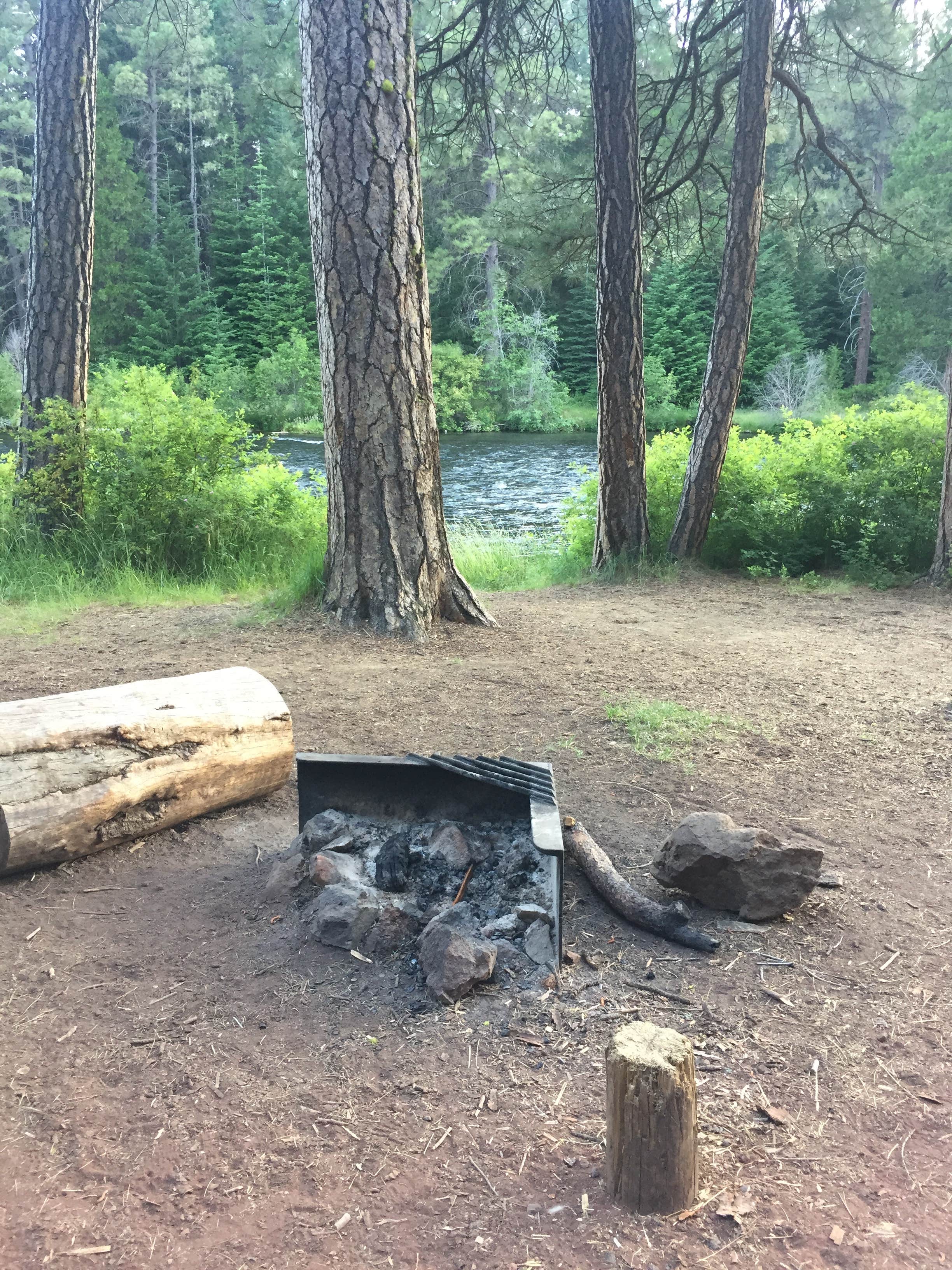 Camper-submitted photo at Allen Springs Campground near Camp Sherman, OR