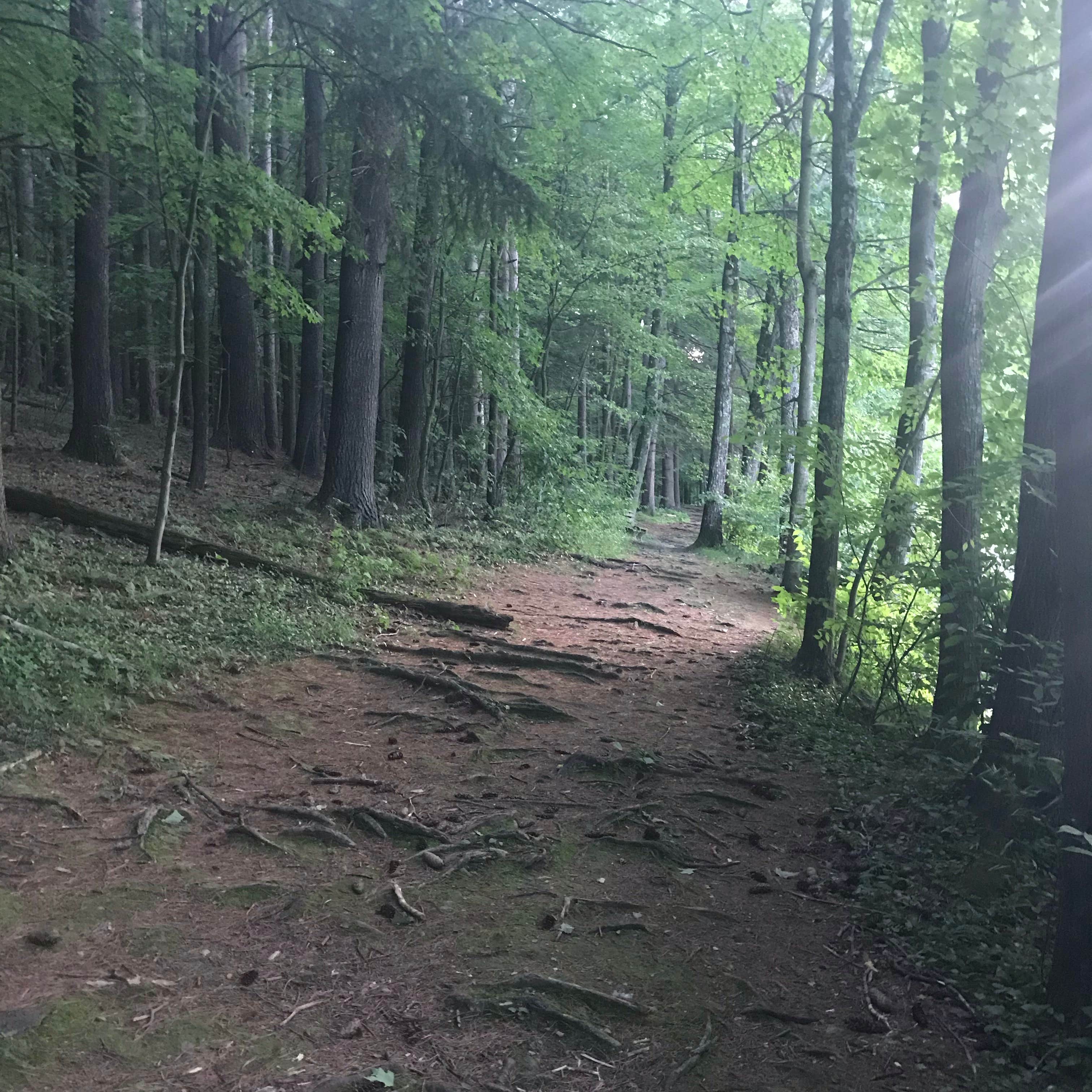 Camper submitted image from Winding Hills Park - 3