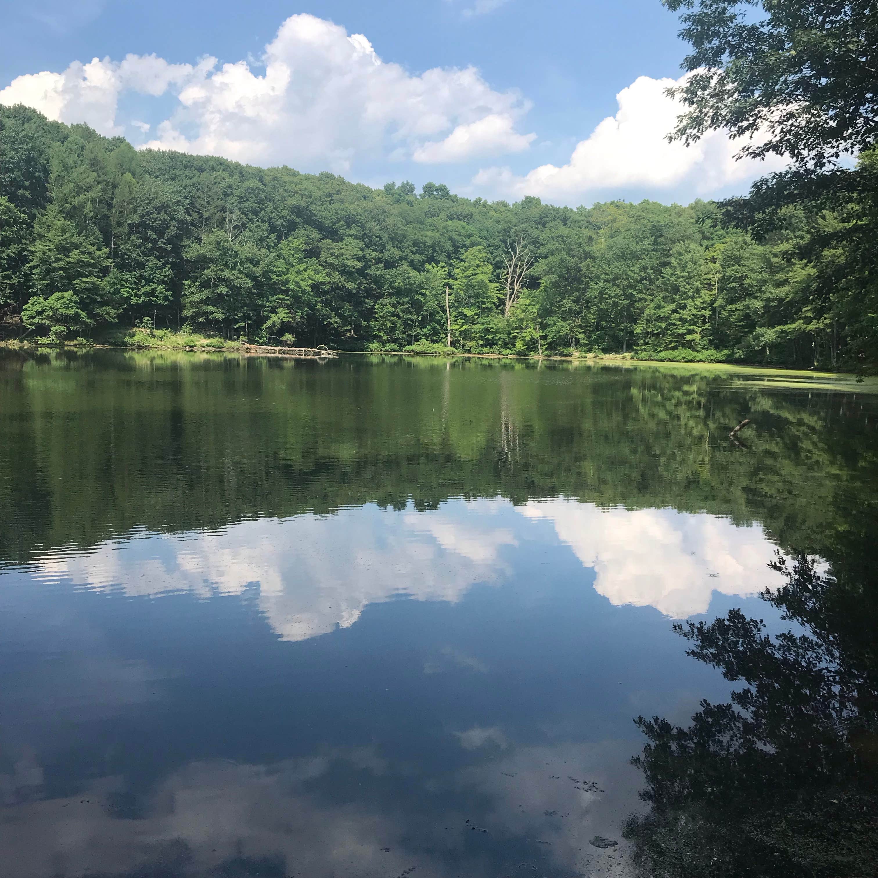 View All